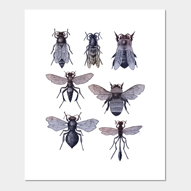 Bees and Wasp (gradient)
